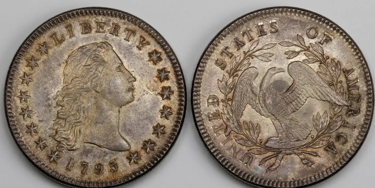 Identifying High-Value US Dollar Coins in the 2026 Market